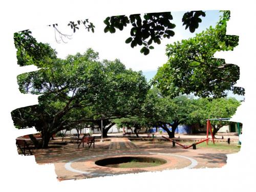 LA JAGUA DEL PILAR - GUAJIRA