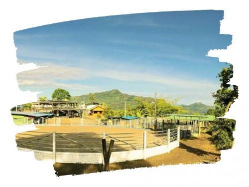 LA VEGA - CUNDINAMARCA